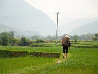 Mai Chau